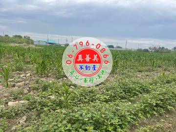 #4596 安定近國道八號農地