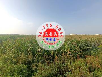 #4590 七股竹子港近市道173線農地