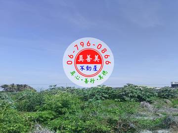 #4595 西港近市道173線農地