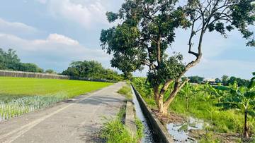 大北勢7-11農地