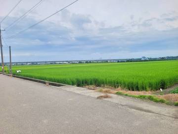 虎尾高鐵況大都市計劃農地(有溫室)
