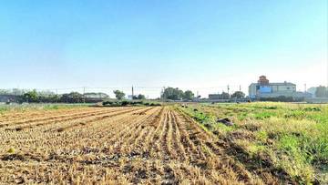 西螺埤頭農地3.64分