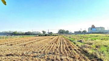 西螺埤頭農地3.64分