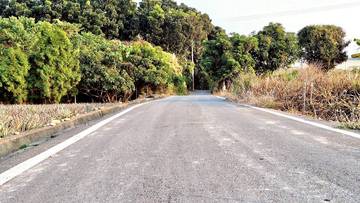 林內・九芎果園農地 2.2分