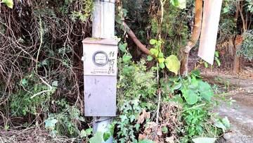 林內・九芎果園農地 2.2分