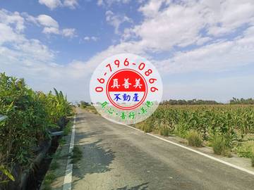 #4703 西港方正農地