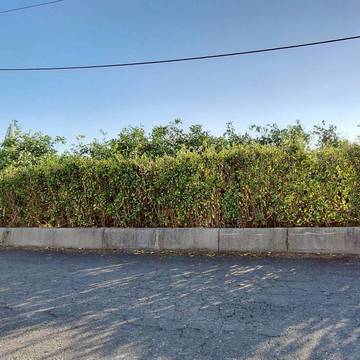 近78交流道 果園農地