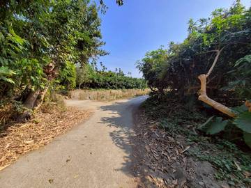 古坑近國3農建地